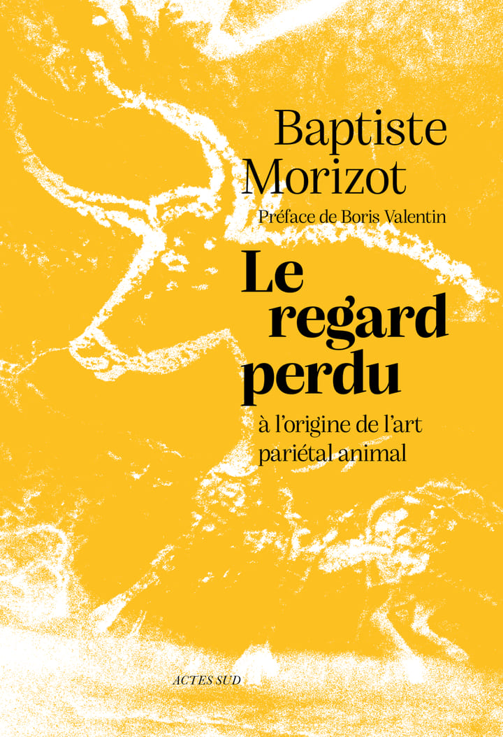 Baptiste Morizot: Le regard perdu (Paperback, Français language, Actes Sud)